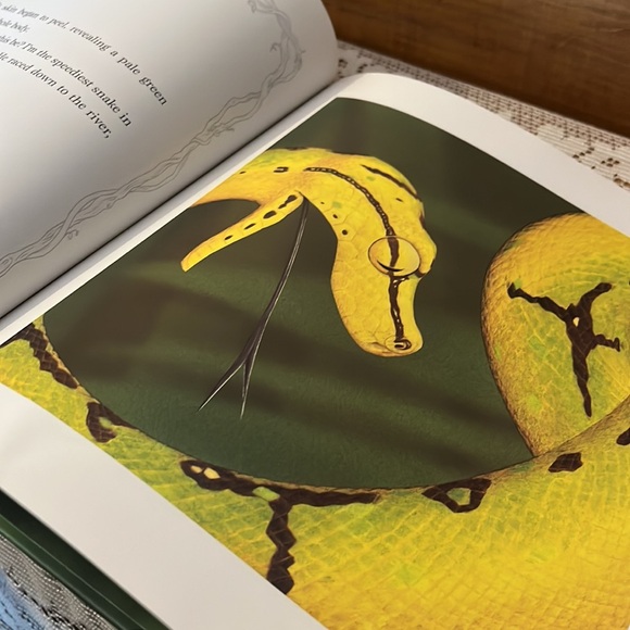 Verdi, Janell Cannon - Picture 8 of 9